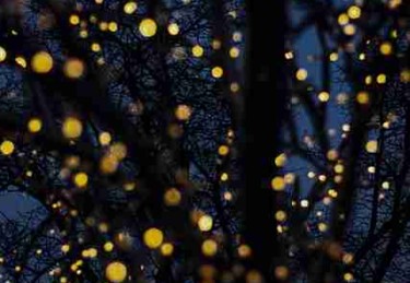 粉丝必藏：鉴黄师神级操作互动问答