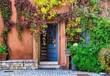 官方权威发布：每日大赛今日幕后故事全纪录