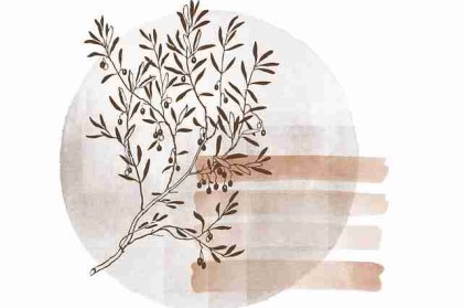 权威发布 ｜ 91黑料、91在线 - 视听双料盛典