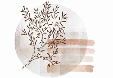 图解版：吃瓜互动彩蛋快闪阅读