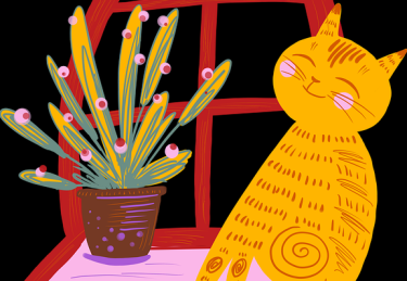 详尽解析 · 91黑料、91网、91官网：优质资源大合集