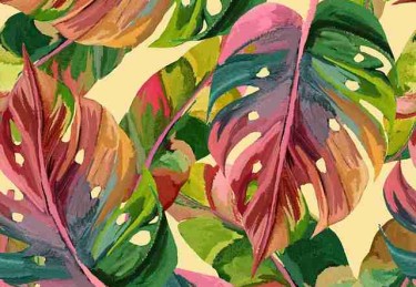 【首发】吃瓜51新手教程一图读懂