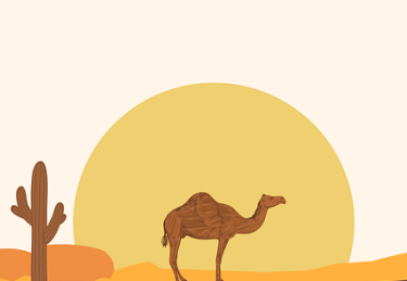 【深度】每日大赛官网图文并茂全程记录