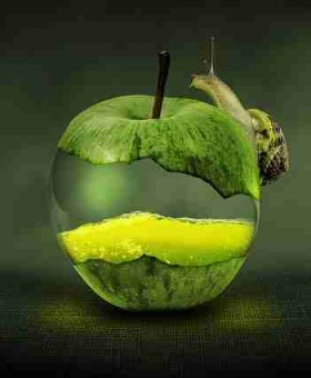 【特别策划】黑料网app成长轨迹绝密档案