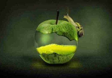 【特别策划】黑料网app成长轨迹绝密档案