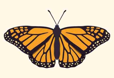 年度汇总 · 91爆料、新91视频、91网 ｜ 一站式阅读手册