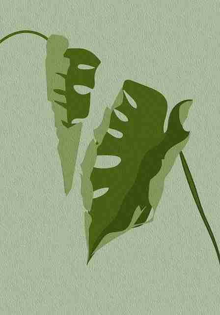 超详细！鉴黄师黑科技爆点整理