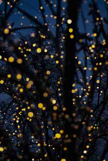 详细青书 · 黑料社app下载官网、黑料网、黑料每日 · 长文徜徉手册