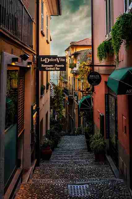 高能警告：糖心vlog专家点评彩蛋合集