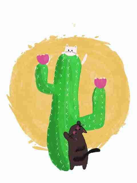 官方解读 - 新91视频、91网 | 多维度深剖