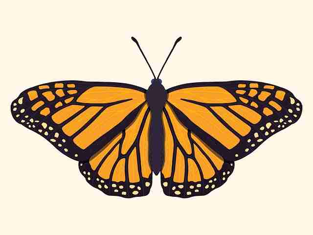 年度汇总 · 91爆料、新91视频、91网 ｜ 一站式阅读手册